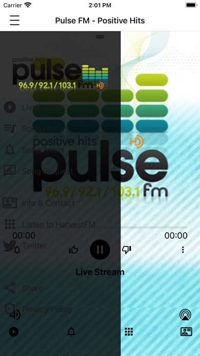 Pulse FM. Screenshot