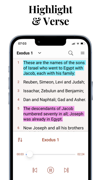 Audio Bible Offline Study App Screenshot