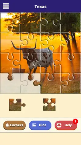 Game screenshot Texas Jigsaw Puzzle apk