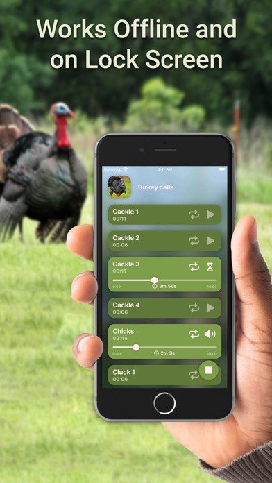 Hunting Calls: Turkey Screenshot