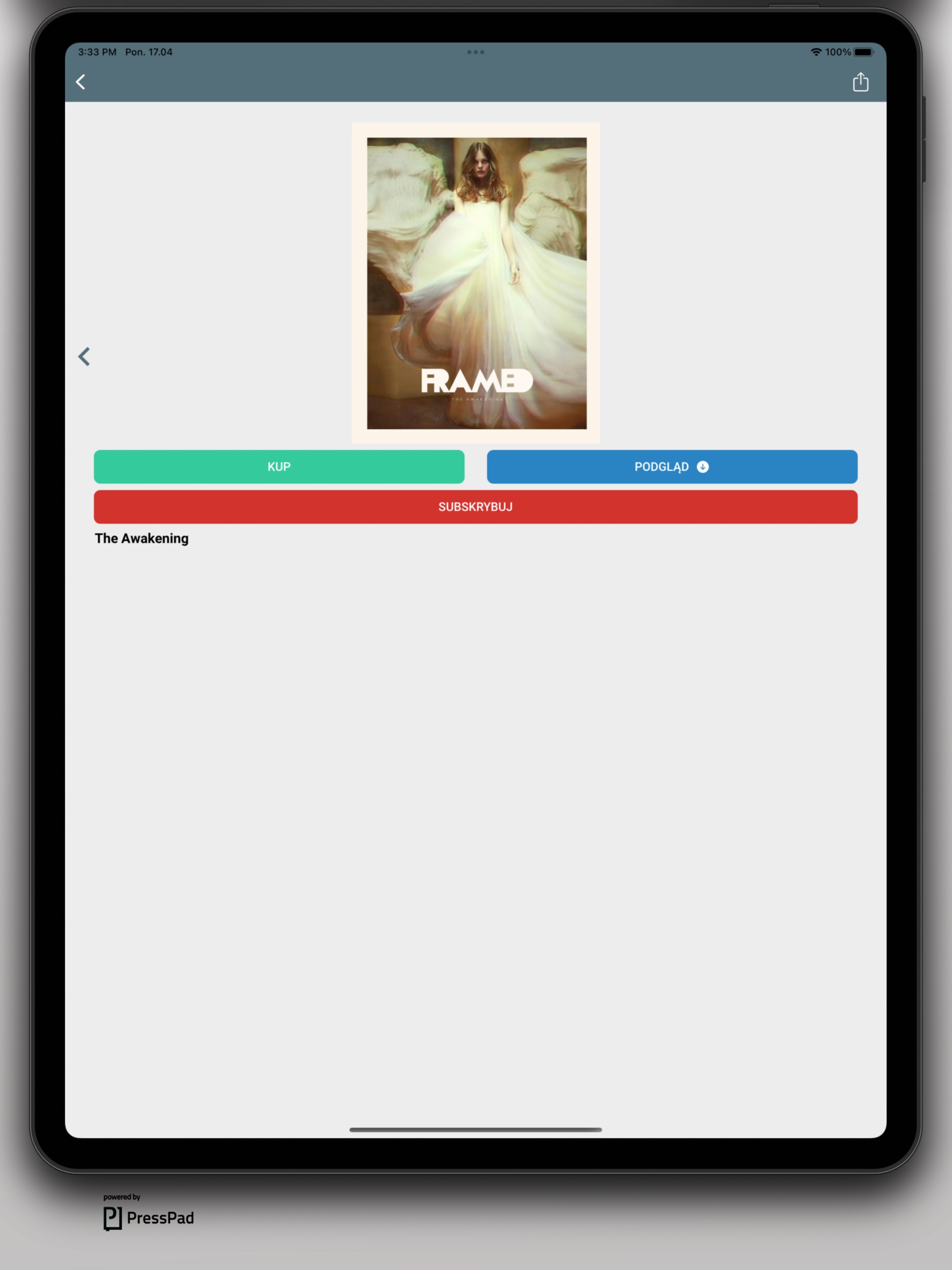 FRAMED International screenshot 4