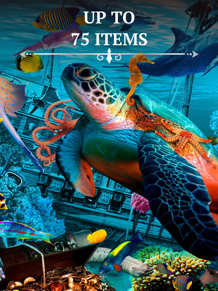 Bright Objects・Search and find