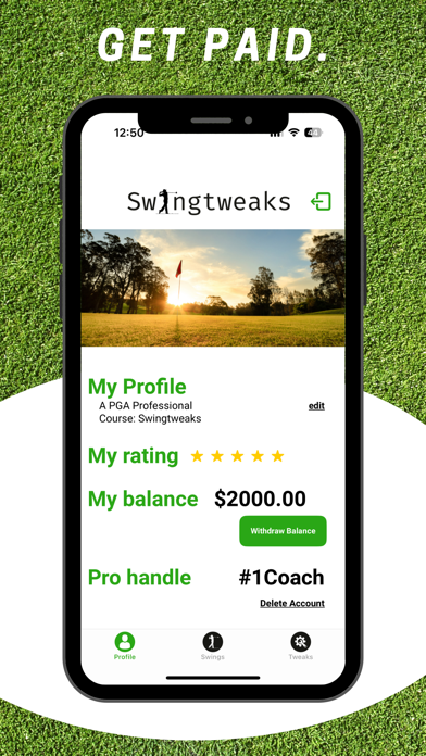 Swingtweaks Professional Screenshot