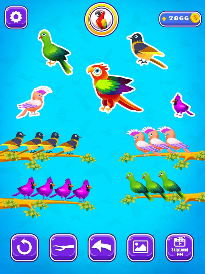 Color Bird Sort Puzzle Games