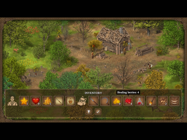 ‎Hero of the Kingdom: Tales 1 Screenshot