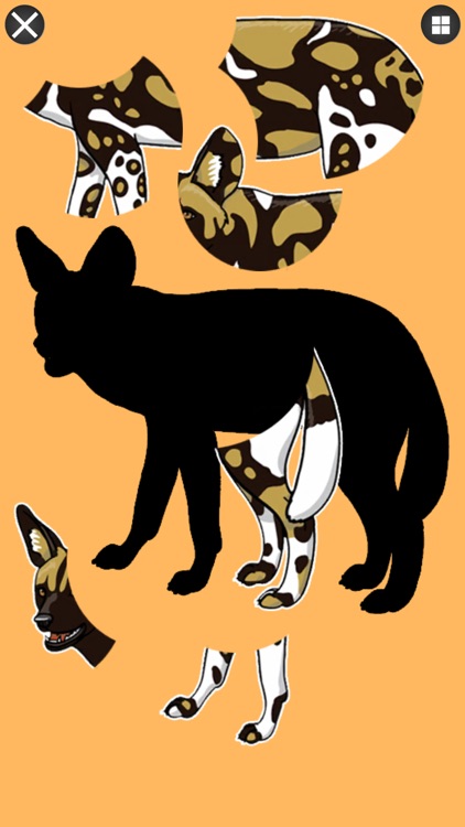 Bird and Animal Puzzle