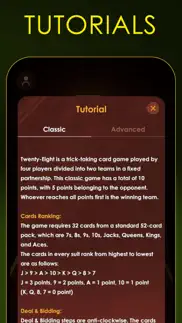 28 card game offline problems & solutions and troubleshooting guide - 4