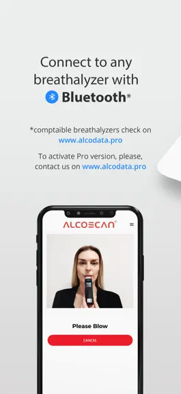 Game screenshot ADP Rovico hack