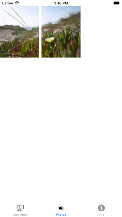 PhotoSegment Screenshot