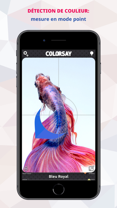 Screenshot #2 pour ColorSay • Scanner couleur