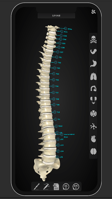 Virtual Medical Anatomy Screenshot