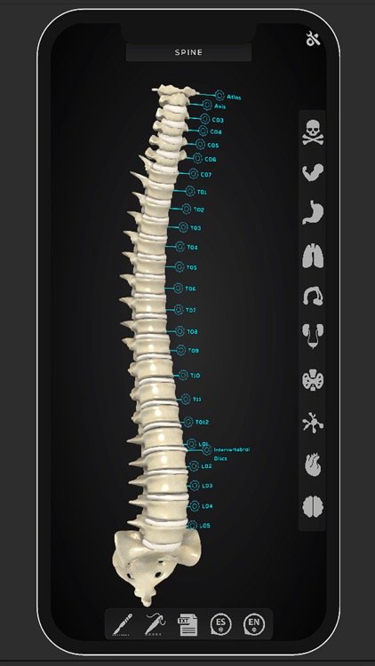 Virtual Medical Anatomy screenshot-6