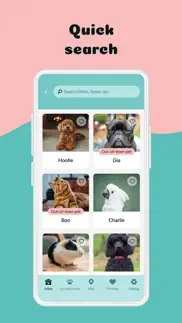 petfinder: find my pet problems & solutions and troubleshooting guide - 1
