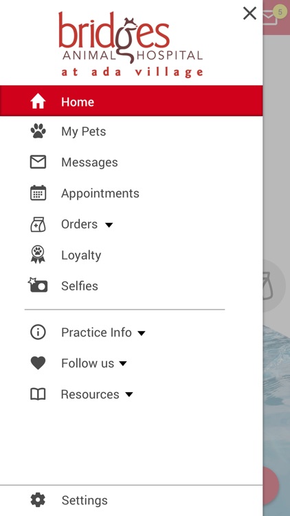 Bridges AH screenshot-4