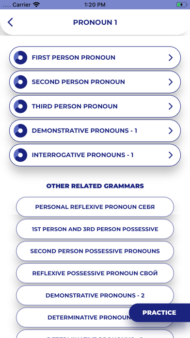 Russian GrammarーLessons・Tests Screenshot