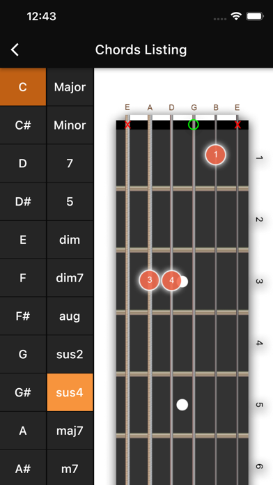 Basic Guitar Chords Screenshot