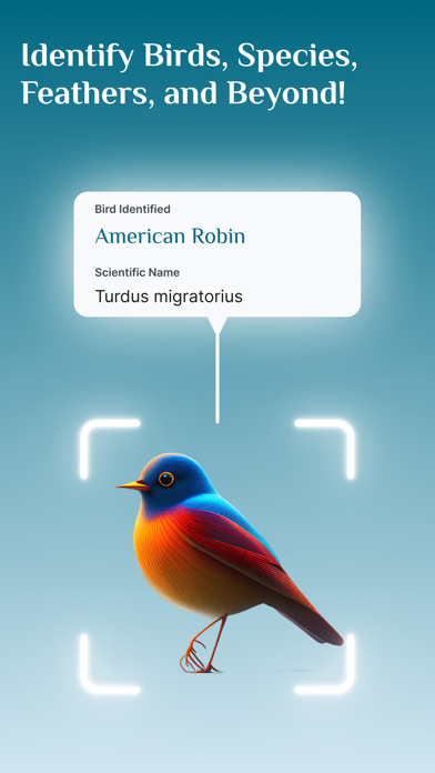 Bird Identifier, Bird Id Screenshot