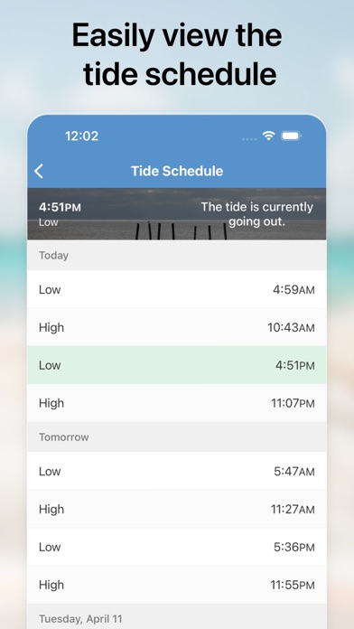 Ocean City, NJ Screenshot
