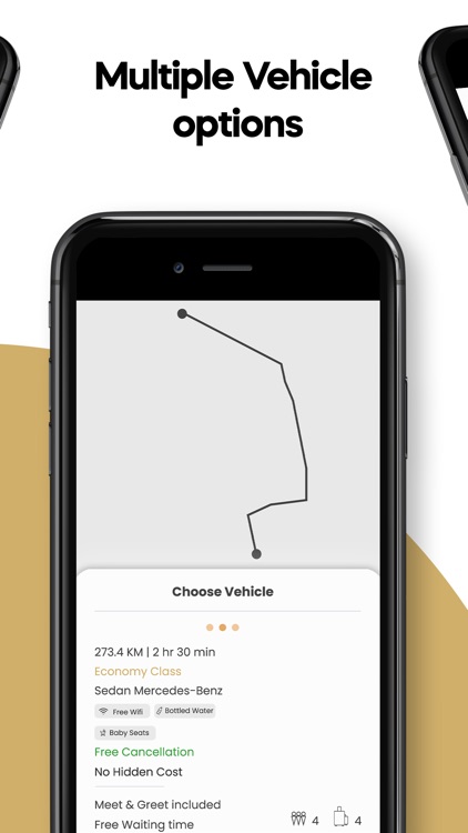 133VIP Chauffeur Solutions