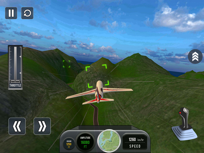 Real Airplane Pilot Flight Sim