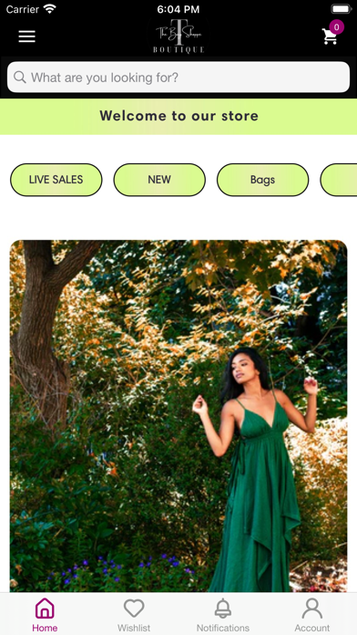 The Bag Shoppe Screenshot