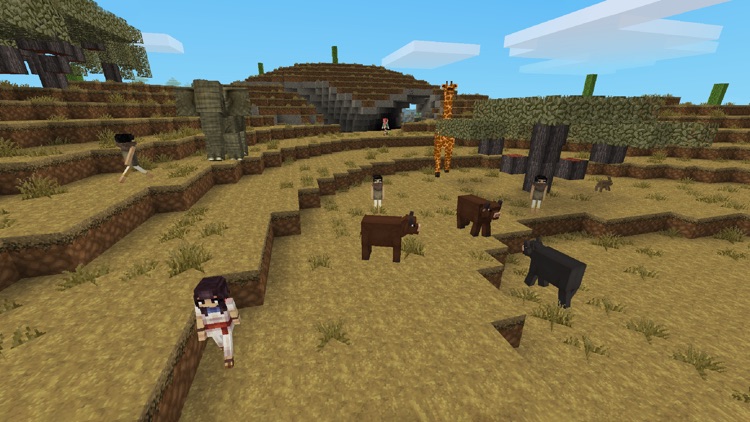 Desert Craft: Sandy Shores screenshot-4