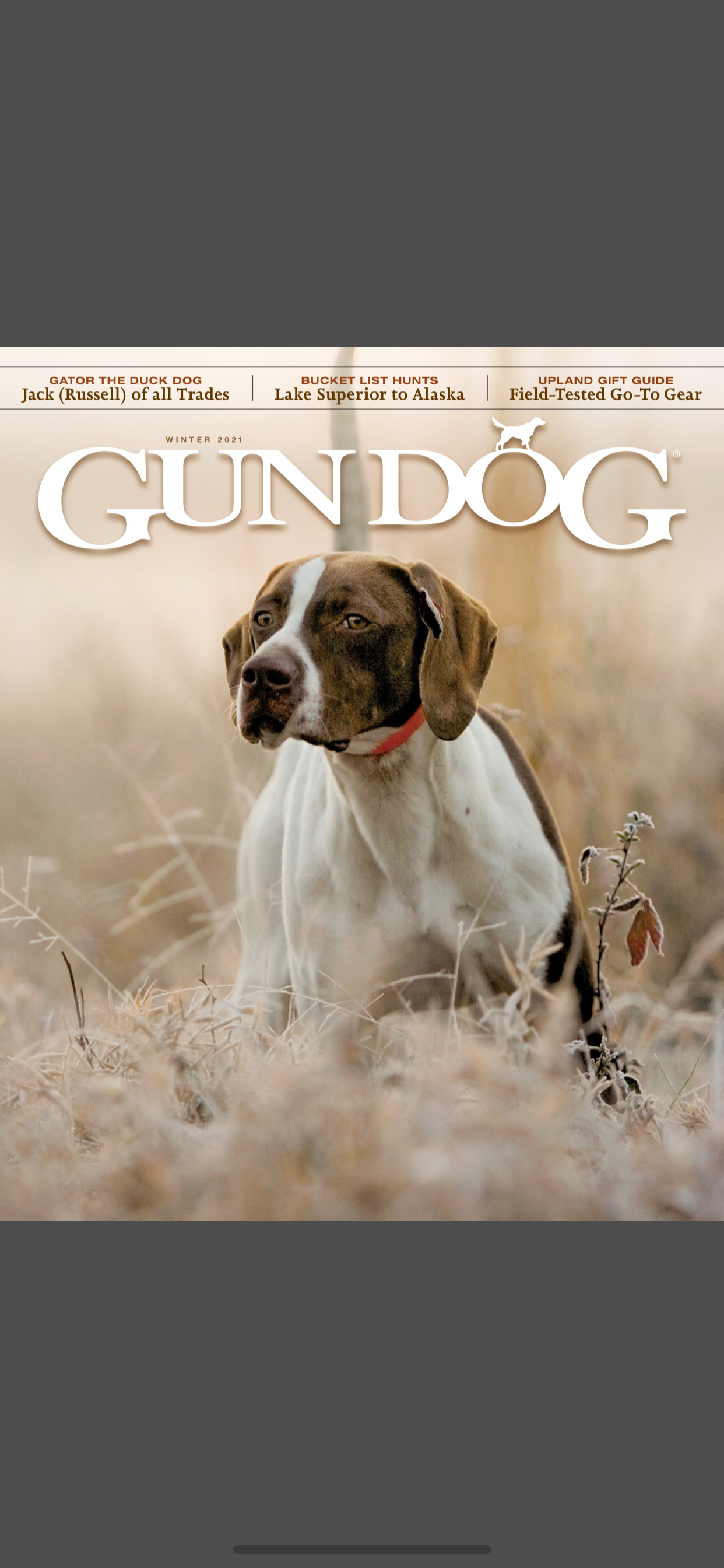 Gun Dog Magazine