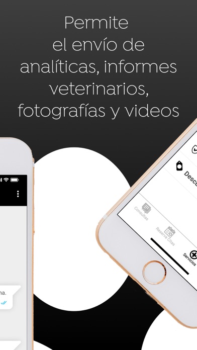 Orange Mascotas Screenshot