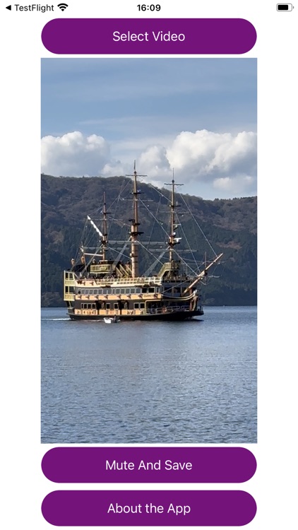 Mute Video Sound PRO