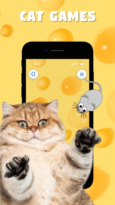Games for Cats: Catch a Toy Screenshot