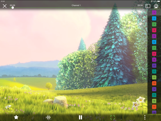 Flex IPTV iPad app afbeelding 4