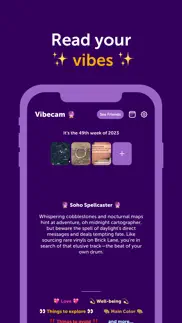 vibecam - read your vibe iphone screenshot 1