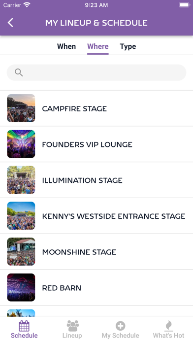 Summer Camp Music Festival Screenshot