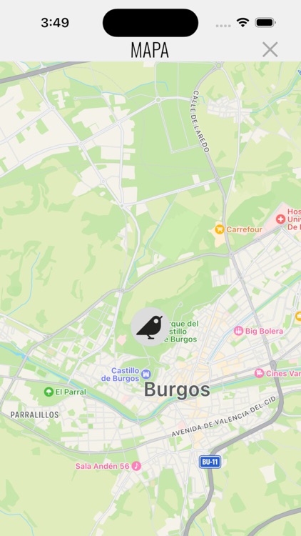 Grupos de Trabajo SEO Birdlife screenshot-6