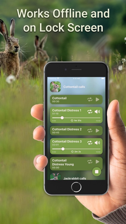 Hunting Calls: Rabbit & Hare