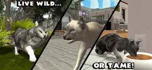 Ultimate Cat Simulator screenshot #4 for iPhone