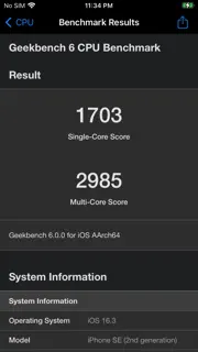 Geekbench 6 screenshot 4