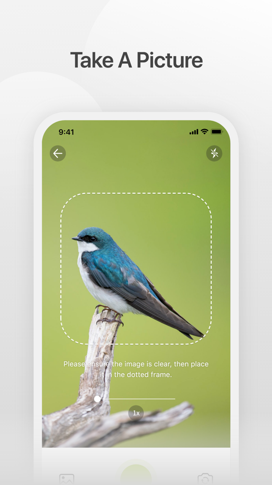 #2. Bird V (iOS) 由: PUWELL CLOUD TECH LIMITED