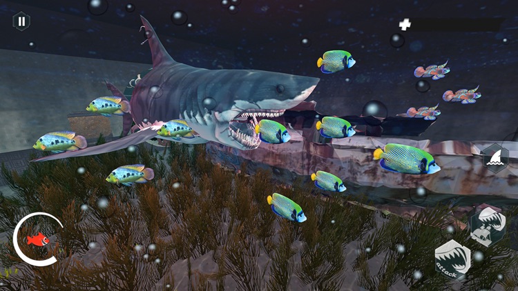 Angry Megalodon Shark Fish screenshot-5