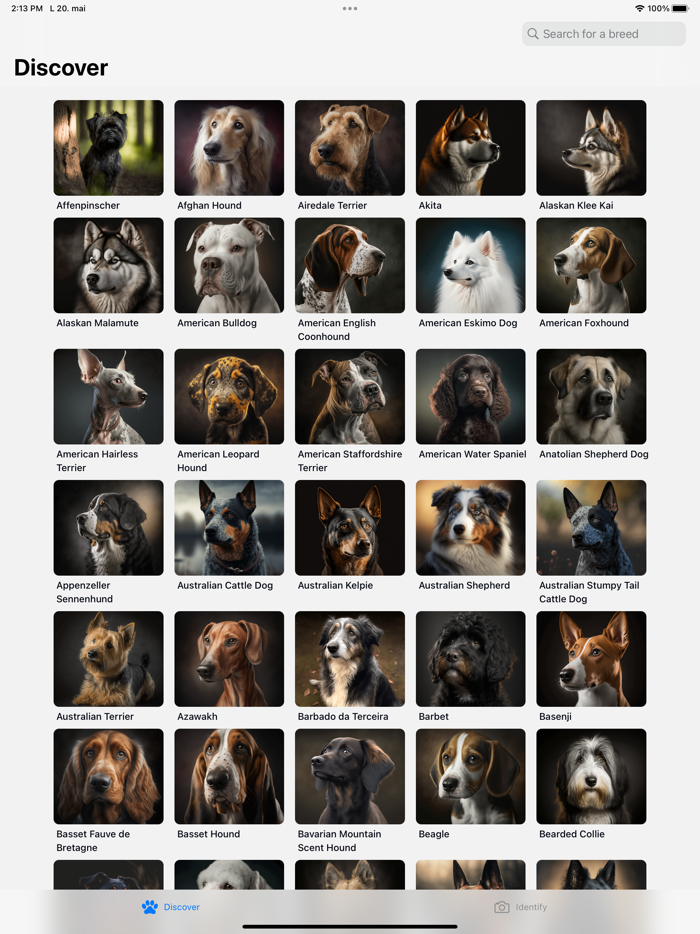 Dog Breeds HQ