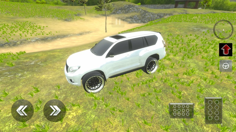 Crazy 4x4 Prado Offroad 2024 screenshot-4