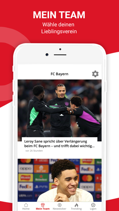 Fussball Europa Screenshot