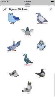 pigeon stickers iphone screenshot 3