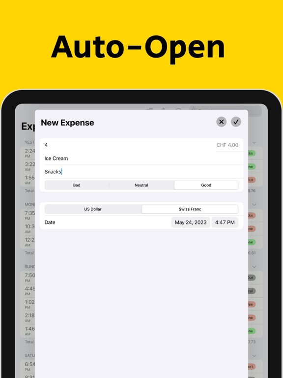 Basic Expense Tracker iPad screenshot 4 - Finance app