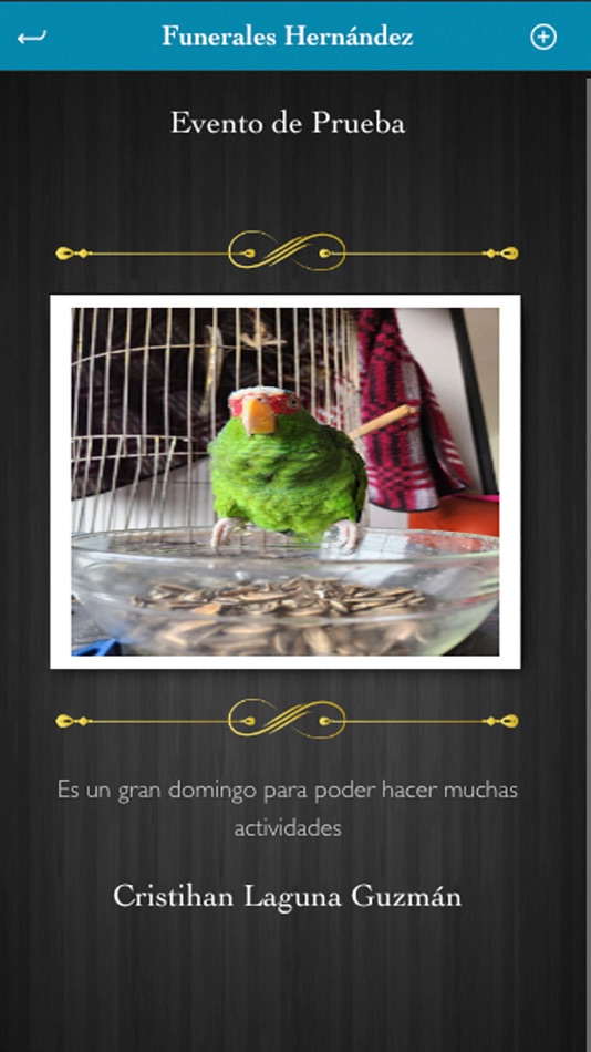 #3. In Memoriam FH (iOS) By: Cristihan Laguna Guzman