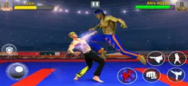 Game screenshot Karate Fight - Martial Fighter apk