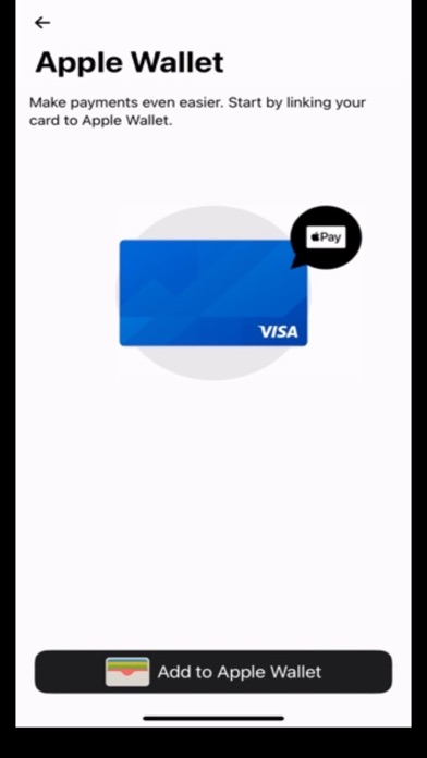 Visa Digital Emergency Card Screenshot