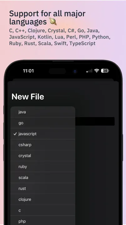 Code - Compile & Run Program iPhone-skjermbilde 4
