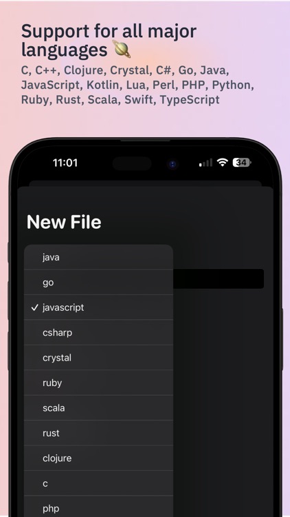 Code - Compile & Run Program screenshot-3
