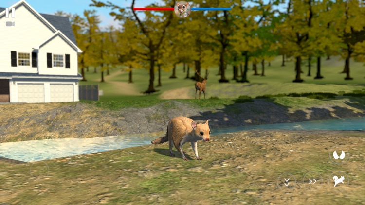 Flying Squirrel Simulator Game screenshot-3